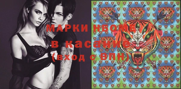 трава Белокуриха