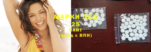 трава Белокуриха