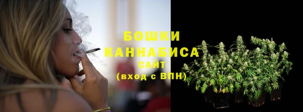 PSILOCYBIN Белоозёрский