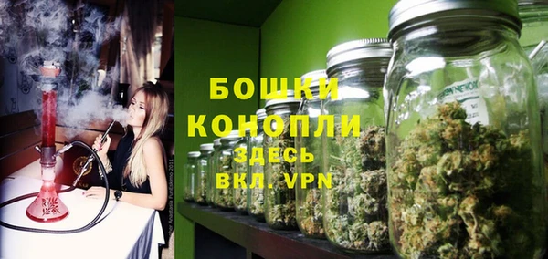 PSILOCYBIN Белоозёрский