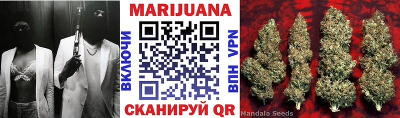 shop как зайти  Макаров  Каннабис гибрид 